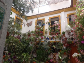 PATIO POZANCO